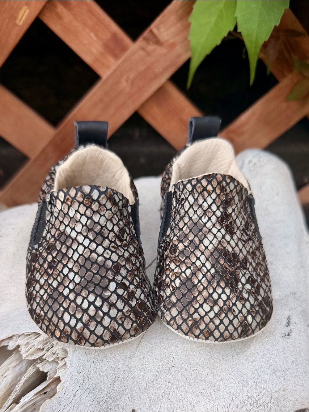 FREEBIRD Baby Snakeskin Leather Shoes 3-6M NEW